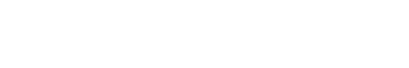 SRT 125 DX