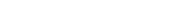 SRT 800 RX